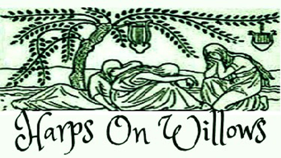 Harps On Willows Journey Begin