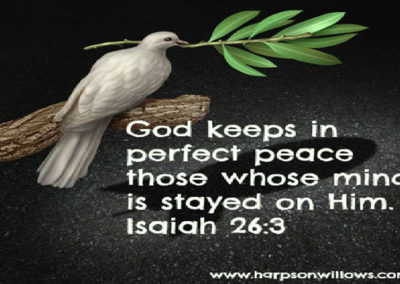 Harps On Willows War and Peace Isaiah 26 3