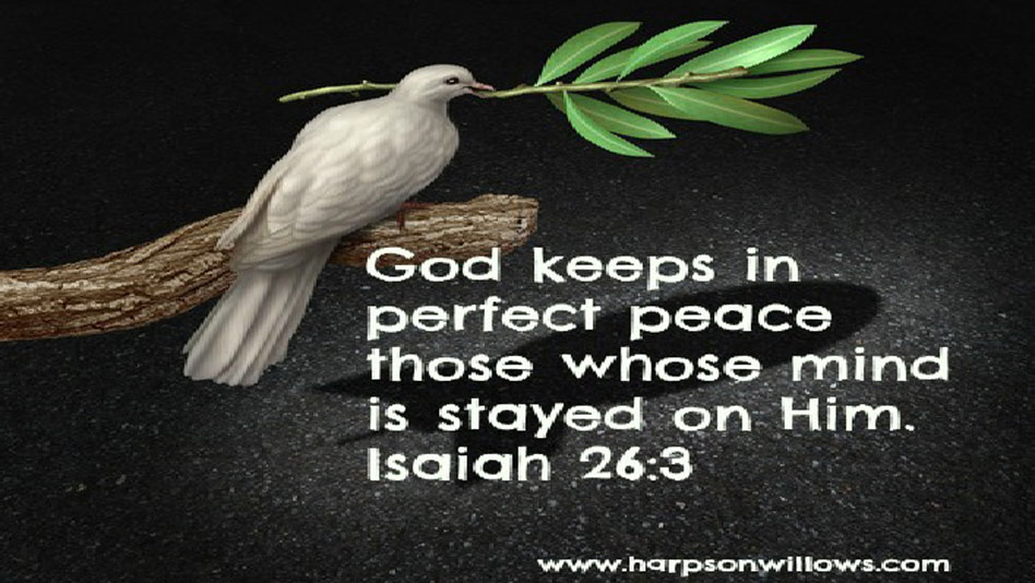Harps On Willows War and Peace Isaiah 26 3