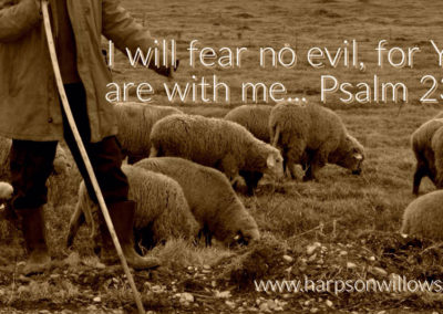 Harps On Willows Psalm 23 4 I Will Fear No Evil For You Are With Me
