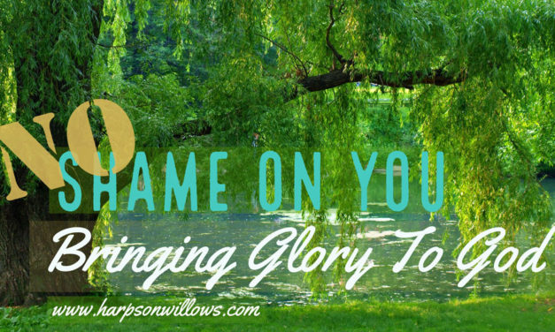NO Shame On You: Bringing Glory To God